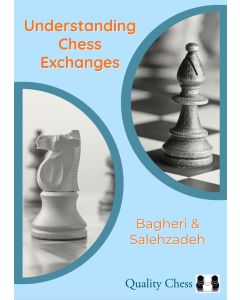 Understanding Chess Exchanges