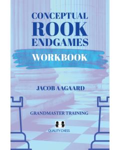 Conceptual Rook Endgames Workbook