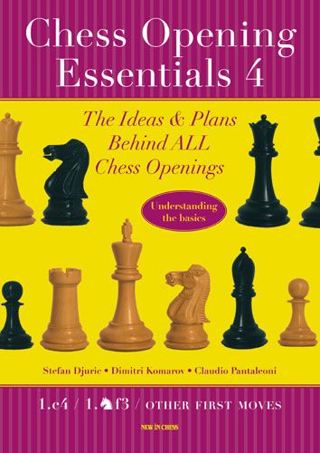 Mastering The Chess Openings, Volume 3, PDF, Chess Openings