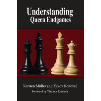 Understanding Queen Endgames