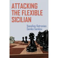 Attacking the Flexible Sicilian