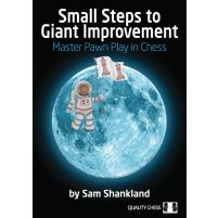 Small Steps to Giant Improvement Hardcover