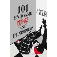 101 Endgame Crimes and Punishments