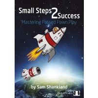 Small Steps 2 Success