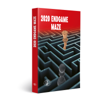 2020 Endgame Maze