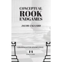 Conceptual Rook Endgames (Hardcover)