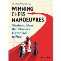 Winning Chess Manoeuvres